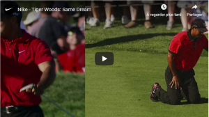 Tiger Woods - Vidéo